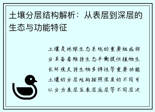 土壤分层结构解析：从表层到深层的生态与功能特征